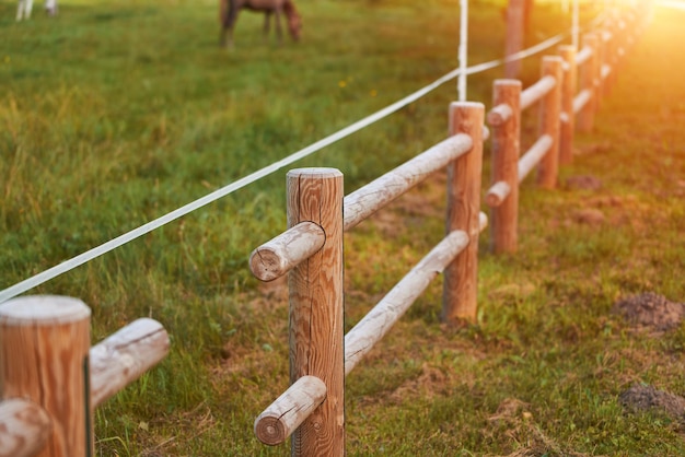 Houten hek met een elektrisch hek voor vee Veiligheid en veiligheid van vee Elektrisch hek voor het bewaken van paarden en koeien in het veld