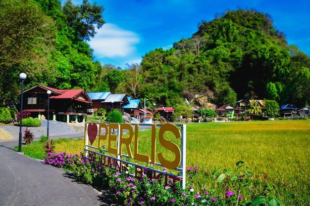 Houten homestay in de avond bij Perlis Malaysia Premium Foto