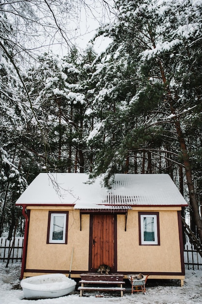 Houten huis in de buurt van het meer in het bos om te vissen in de winter