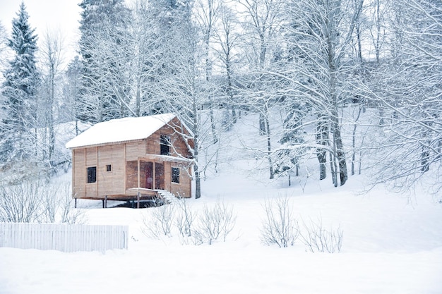 houten huis in het bos