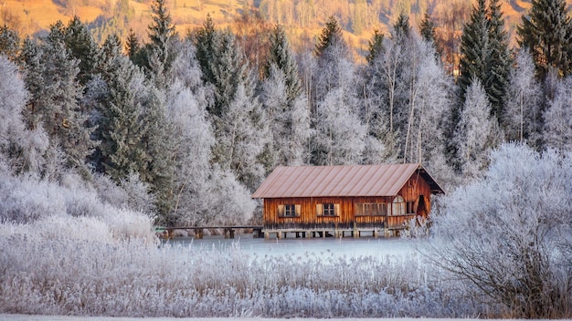 Houten huis in het midden van een winterwoud