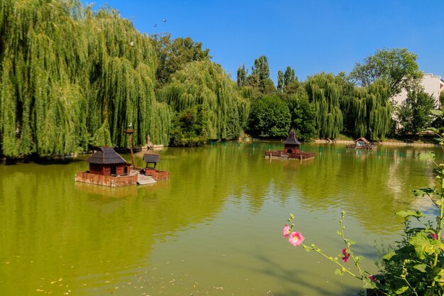 Houten huis voor watervogels en schildpadden aan een meer in stadspark