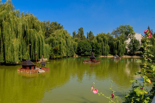 Houten huis voor watervogels en schildpadden aan een meer in stadspark