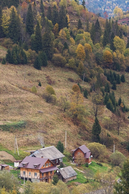 Houten huizen aan de voet van het bergstadje van het valleiresort