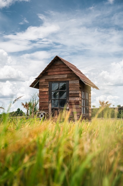 Houten hut en blauwe lucht op padieveld op het platteland