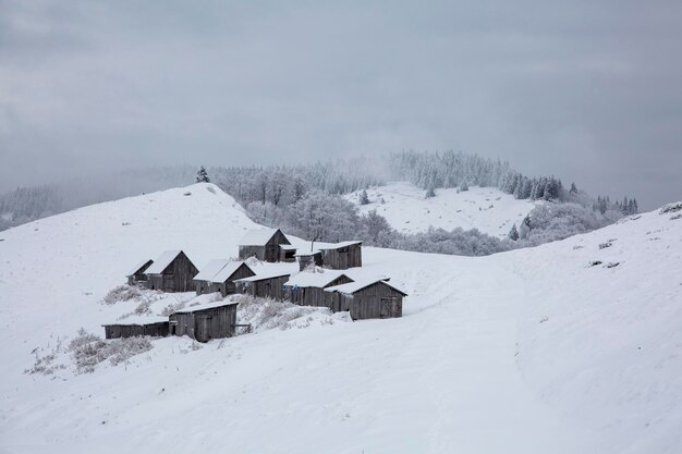 Houten hut en huizen in het met sneeuw bedekte bergbos met buitenconcept in besneeuwde winterbergen