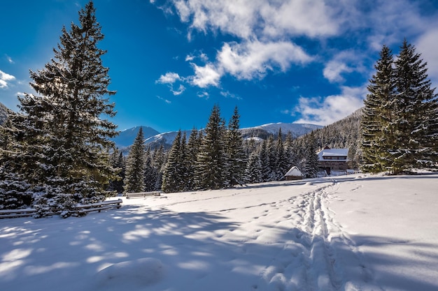 Houten hut in de winter in de bergen bij zonsopgang Tatra