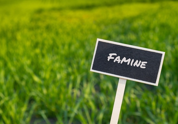 Houten informatielabel met tekst FAMINE tegen intreepupil landbouwveldbericht Global