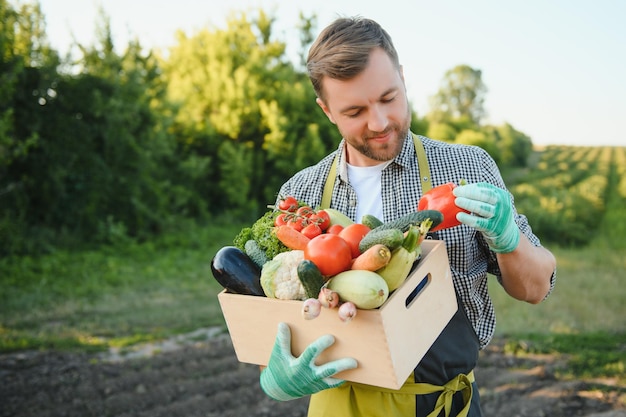 Houten kist gevuld met verse groenten