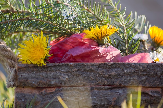 Houten kist met rood papier, dennentakken en paardebloemen