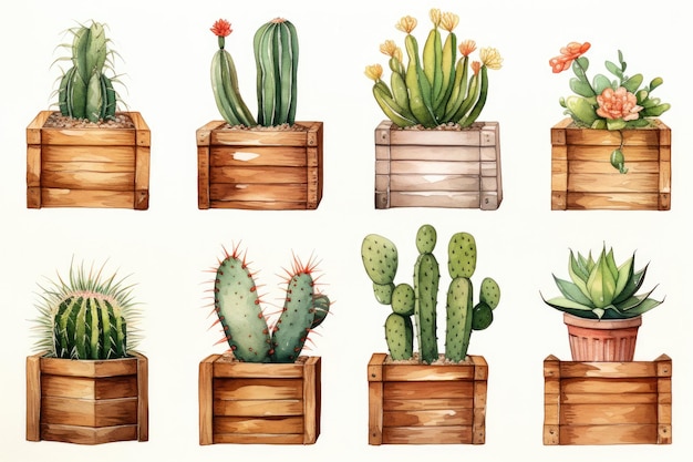 houten kisten clipart cactus rustieke aquarel witte achtergrond