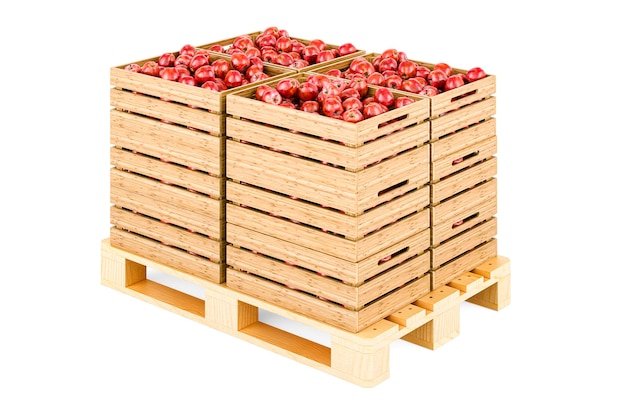 Houten kisten vol met rode appels op de houten pallet 3D-rendering