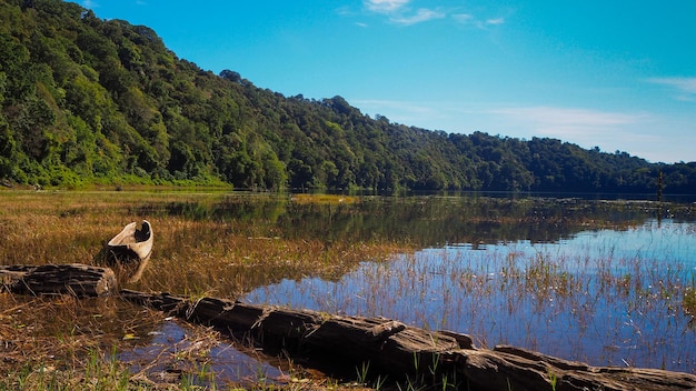 Houten kleine boot in Danau Tamblingan-meer dichtbij Munduk in Bali