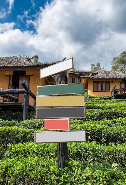 Houten kleurrijk uithangbord op theeaanplanting en grondhuis bij verbod rak thai