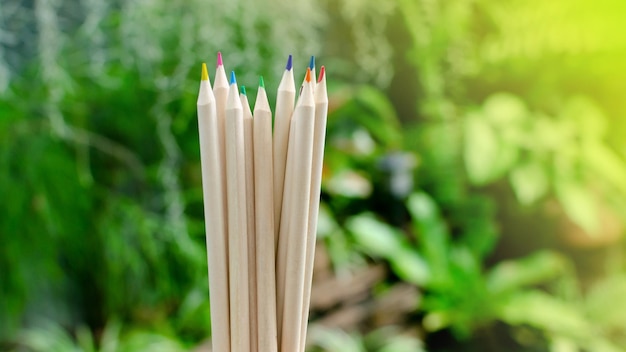 Houten kleurrijke potloden met natuur achtergrondKleurpotloden groepKantoorbenodigdhedenCrayonstationary