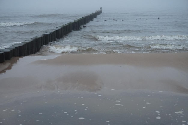 Houten krib op een zee