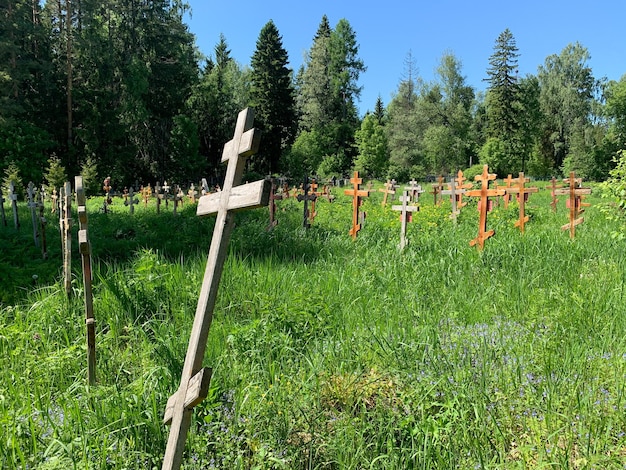 Houten kruisen op graven op begraafplaats op zomerbegraafplaats in het groene bos graf onbekende monumenten op het veld