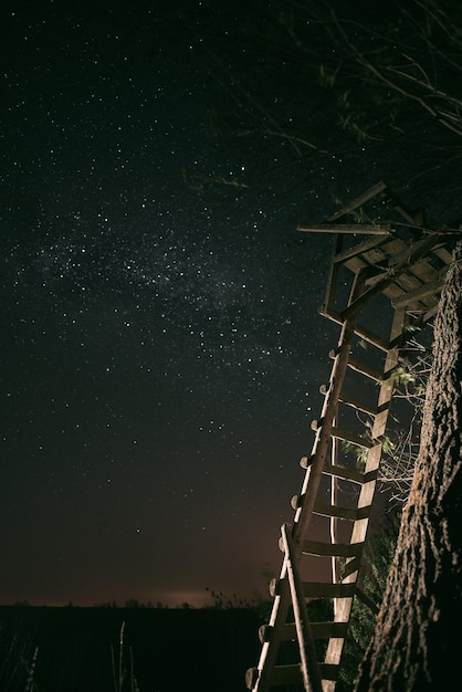 Houten ladder op de boom tegen de sterrenhemel trap naar het sterrenhemelconcept om doelen te bereiken