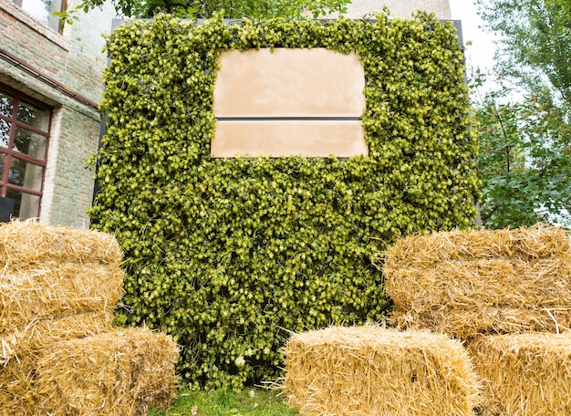 Houten leeg bord voor inscripties op de achtergrond van groene bladeren in de buurt van hooibergen buitenshuis, plattelandsconcept