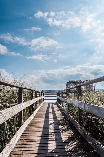 Houten loopbrug bij de vijver