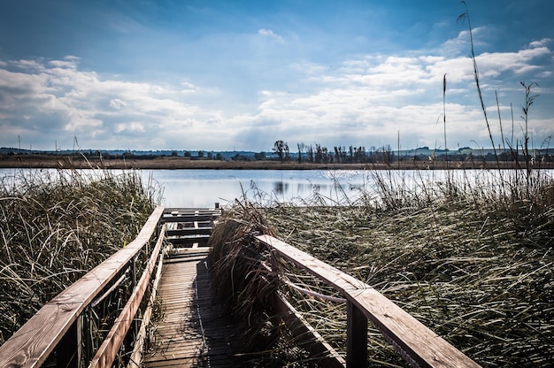 Houten loopbrug bij de vijver