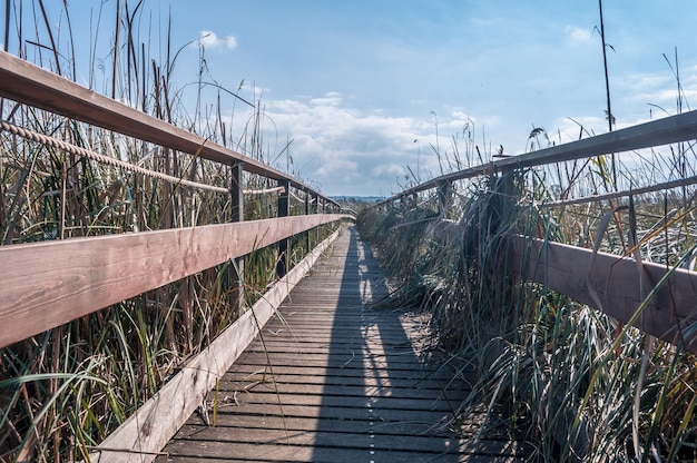 Houten loopbrug bij de vijver