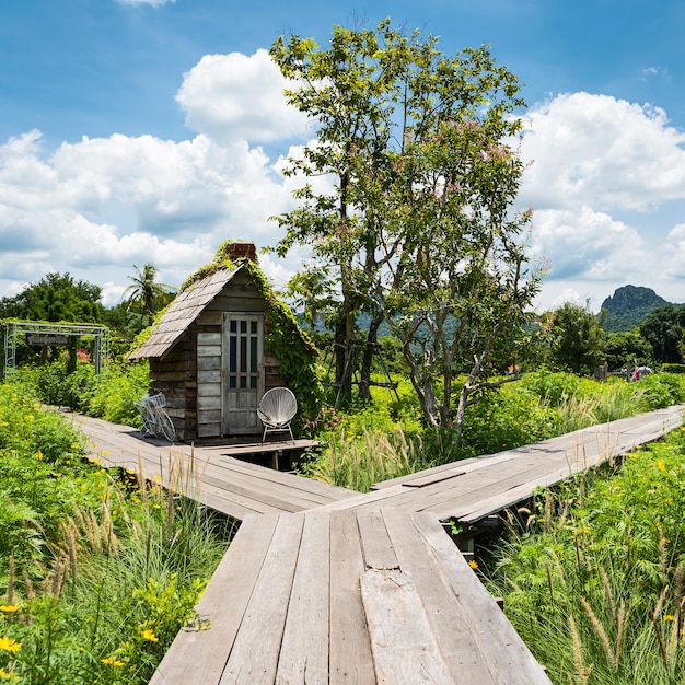 Houten loopbrug om de bloementuin cosmos of mexican aster te zien