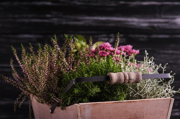 Houten mand met groene planten en bloemen op zwart