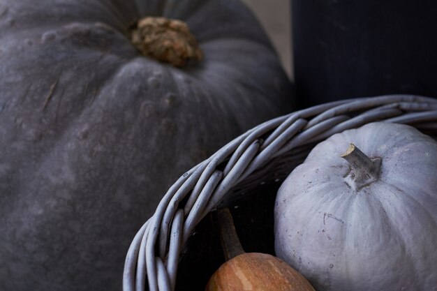 Houten mandje met grijze en gele pompoenen