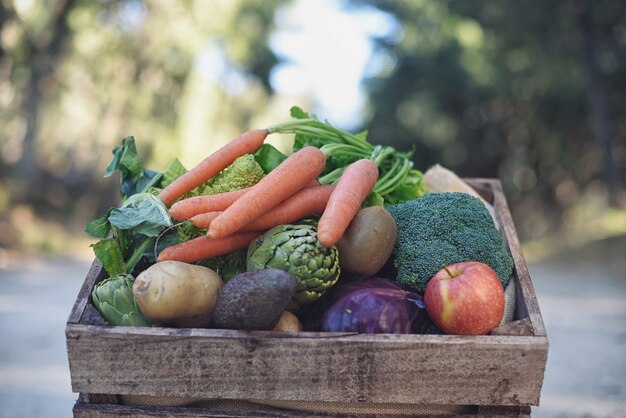 Houten mandje met verse biologische groenten