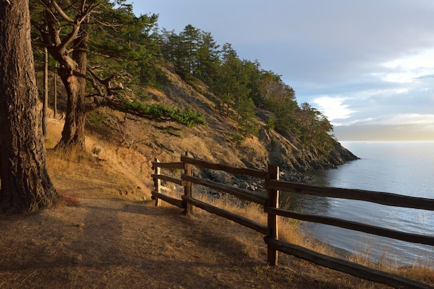 Houten omheiningen langs de kliffen bij East Cove. James Island, San Juan-eilanden, Washington, VS