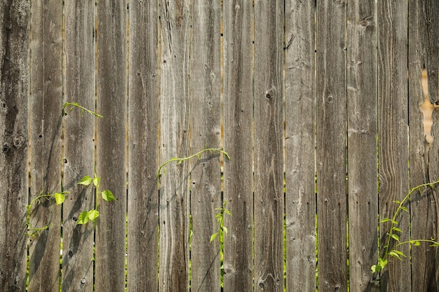 Houten omheiningstextuur en houten achtergrond een symbool van rustieke charme, natuurlijke schoonheid, warmte en een