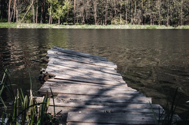 Houten oude pier reikt tot in rustige rivier in het bos