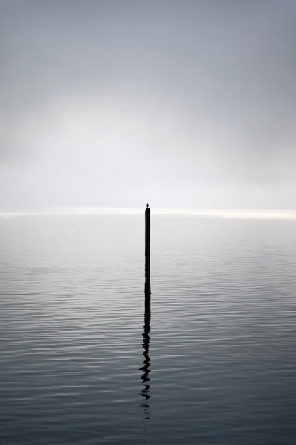 Foto houten paal in de zee tegen de lucht