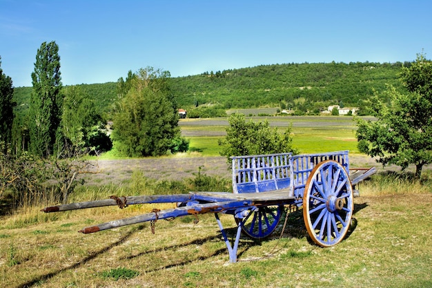 Houten paardenkar in een lavendelveld in de Provence, Frankrijk