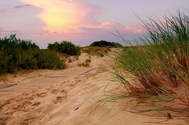 Houten pad door zandduinen aan de Oostzee in Ventspils tegen de achtergrond van een dramatische hemel met wolken