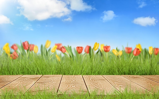 houten pad met kopieerruimte tegen blauwe lucht en tulpenveld
