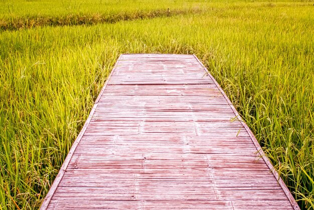 houten pad met landbouwboerderijlandschap