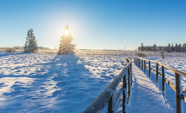 Houten pad naar een winterlandschap bij zonsopgang