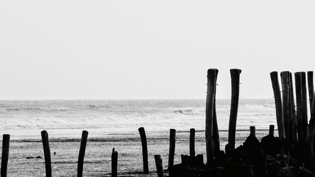 Houten palen in de zee tegen een heldere lucht