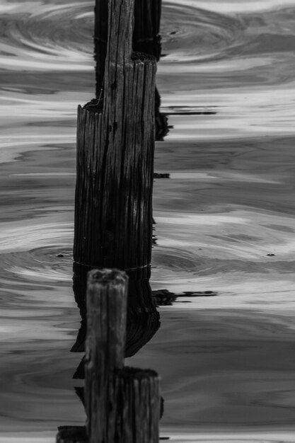 Foto houten palen in de zee