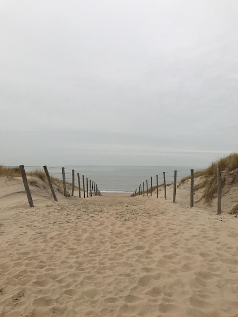 Foto houten palen op het strand tegen de lucht