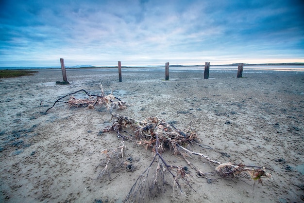 Foto houten palen op het strand tegen de lucht