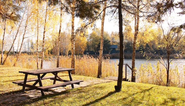 Houten picknicktafel in herfst parklandschap