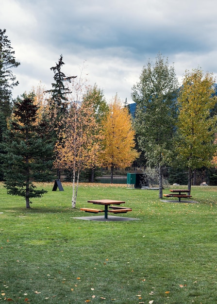 Houten picknicktafels in herfsttuin in openbaar park