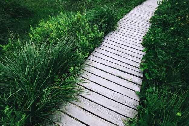 Houten pier achtergrond met groen gras. Natuur achtergrond