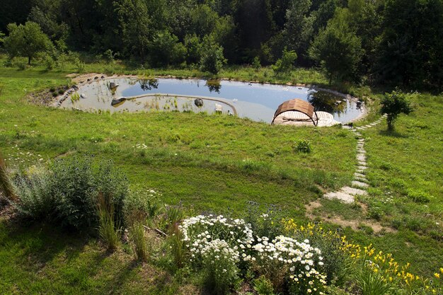 Houten pier bij natuurlijke zwemvijver die waterplanten zuivert