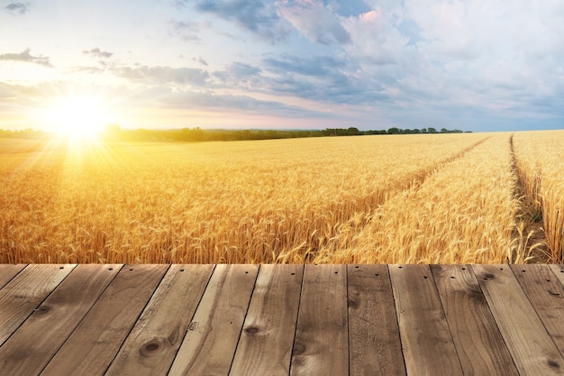 Houten plank lege tafel Houten tafelvloer en mooi natuurlijk groen