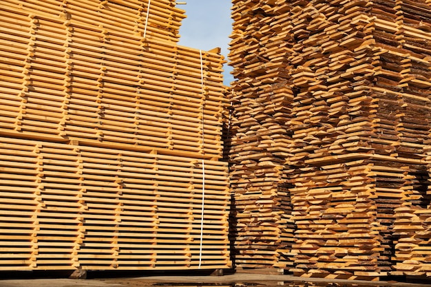 Houten planken in een zagerij Stapels van houten plakken in de zagerij Hout stapel van houten blanks Productie van bouwmateriaal