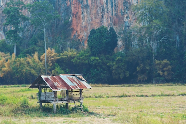 Houten plattelandshuisje op padiegebied, platteland van Thailand